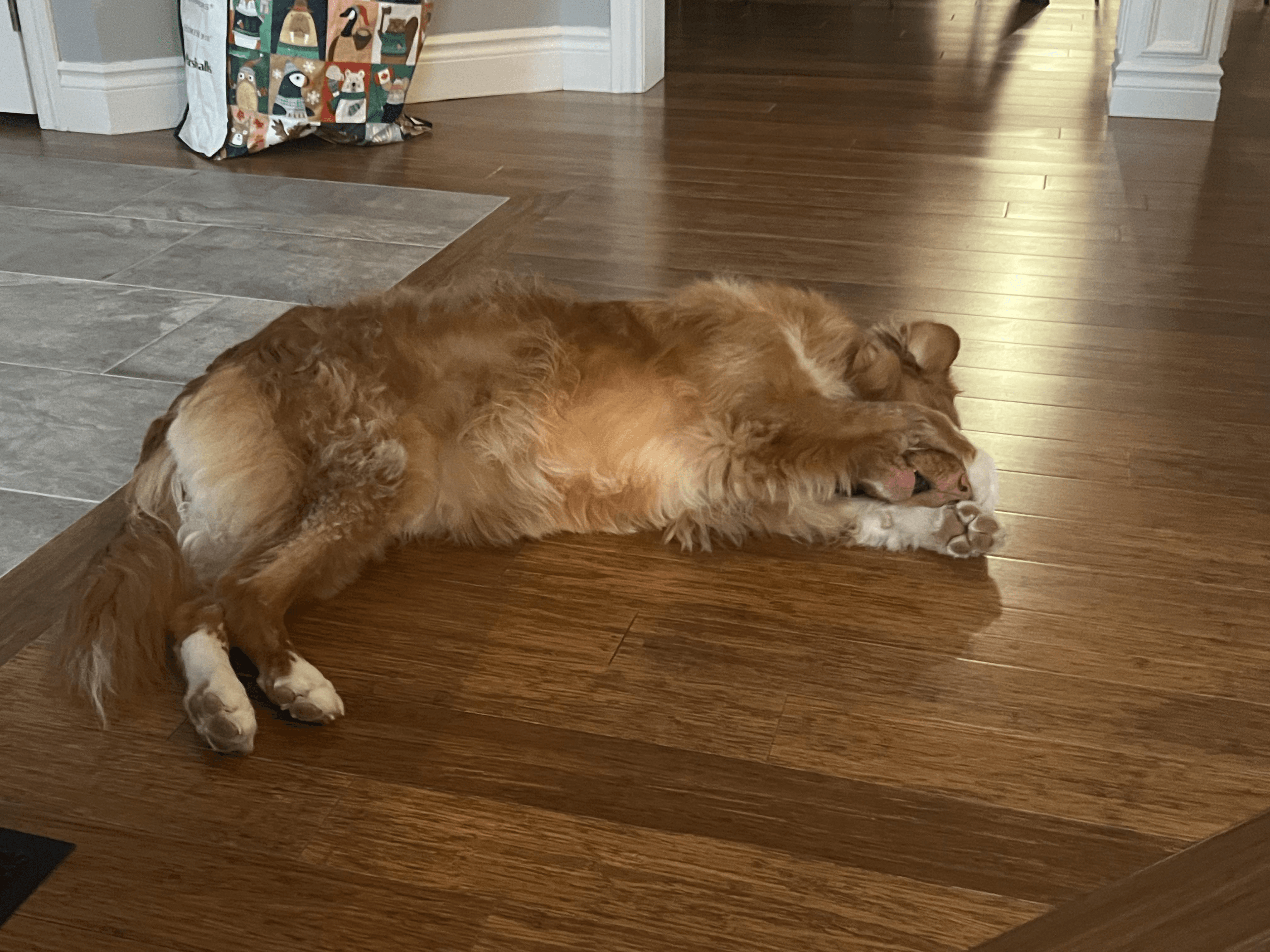Penny hiding her face