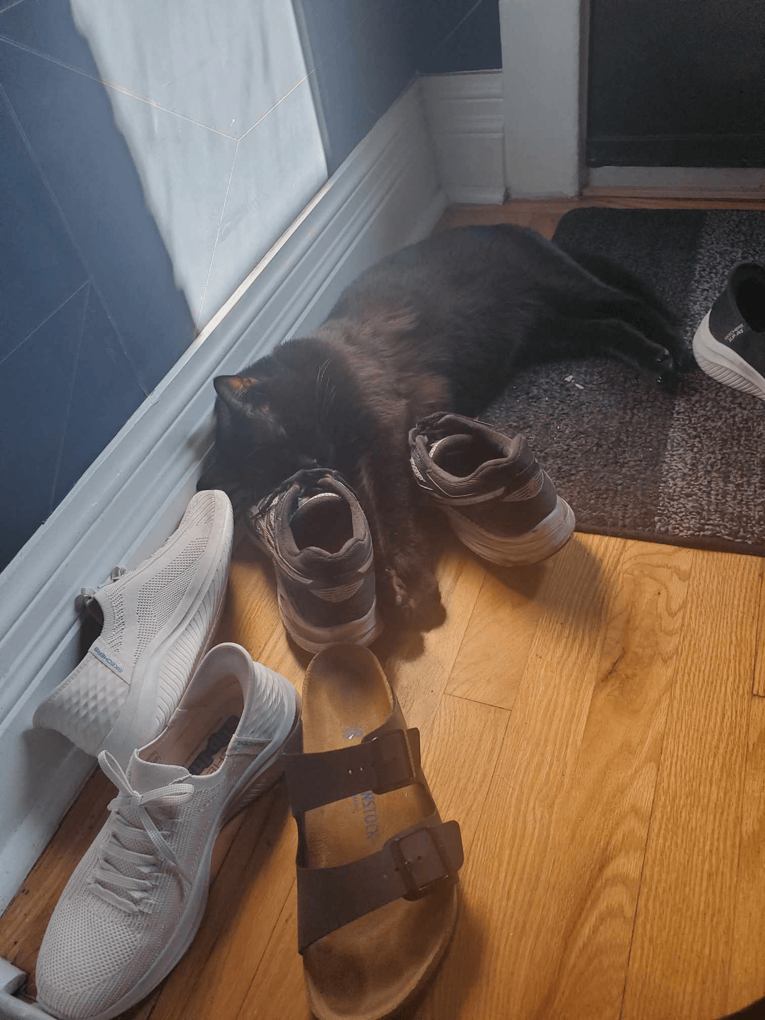 A cute black cat lying by shoes
