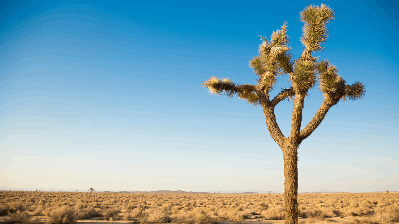 Various Josh Cellars products